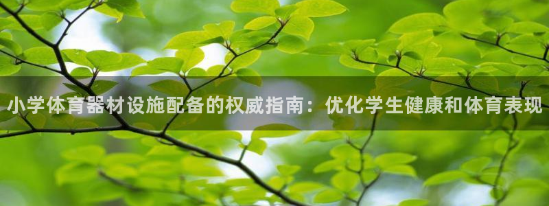 尊龙官网手：小学体育器材设施配备的权威指南：优化学生