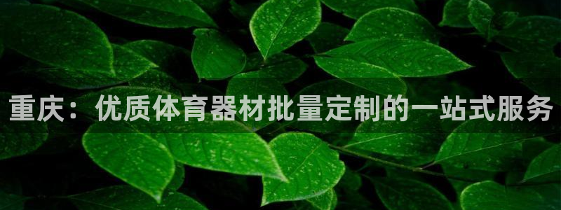 凯时app官方首页：重庆：优质体育器材批量定制的一站