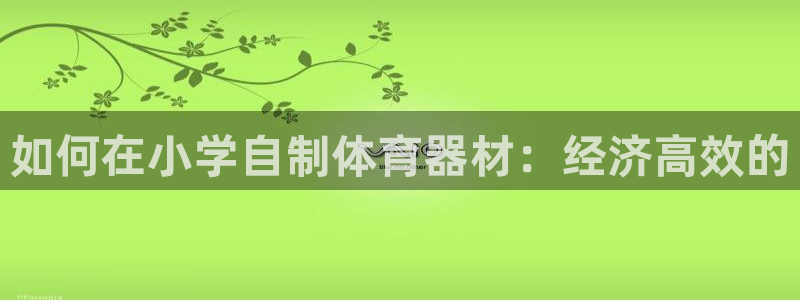 尊龙凯时产品种类：如何在小学自制体育器材：经济高效的