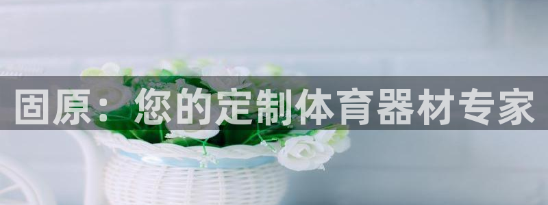 凯时登录：固原：您的定制体育器材专家